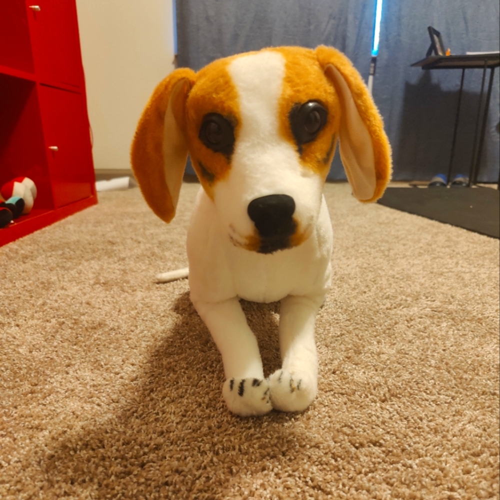 Plush Cute Dog Toy